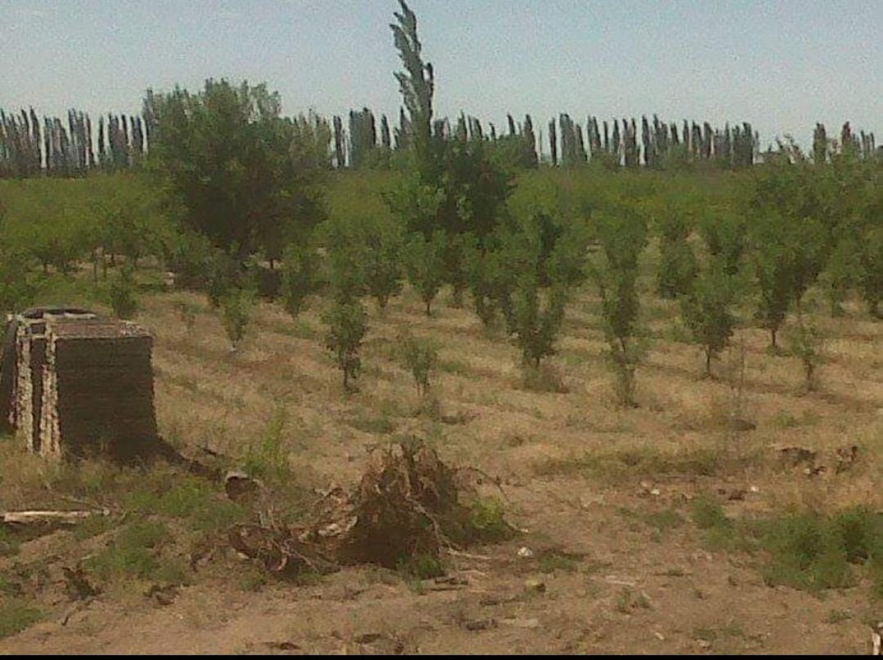 Finca en venta en Real del Padre