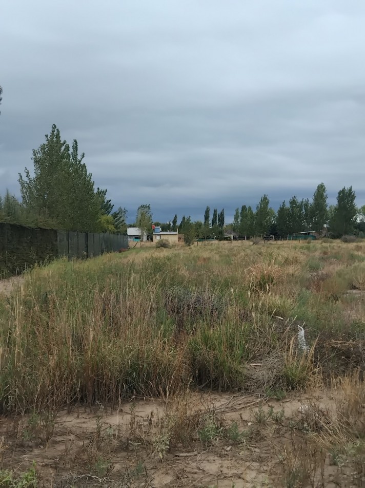 Lote 1.9 hectareas 