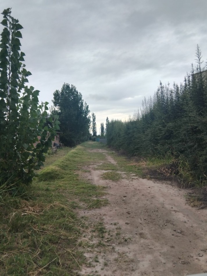 Lote 1.9 hectareas 