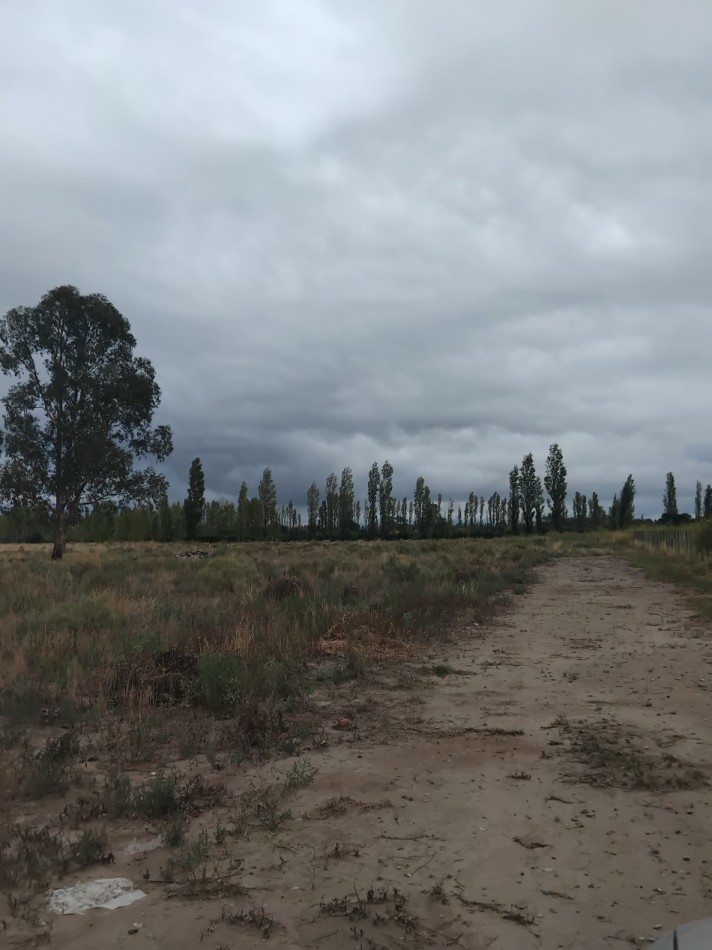 Lote 1.9 hectareas 