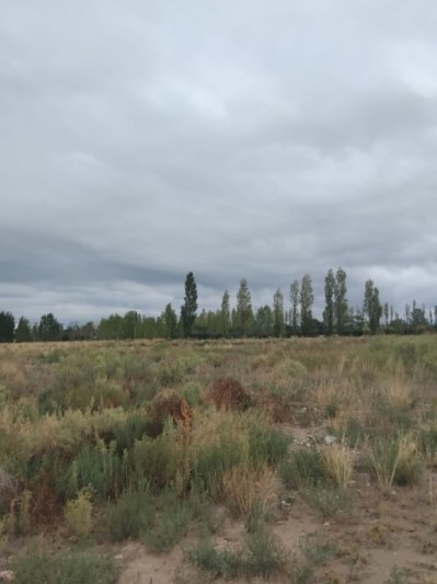 Lote 1.9 hectareas 
