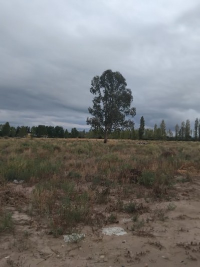 Lote 1.9 hectareas 
