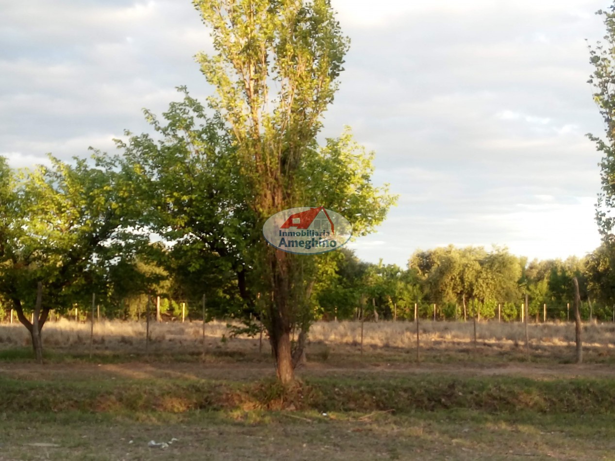 Oportunidad Lotes 